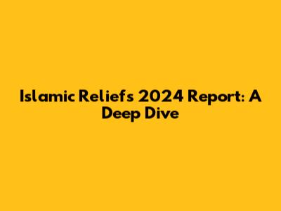Islamic Relief's 2024 Report: A Deep Dive